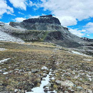 Meet your Posher, Martha